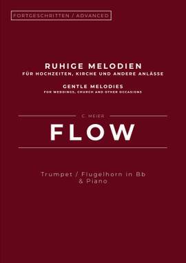 Christoph Meier: Flow