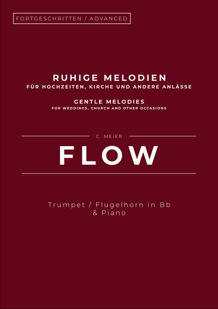 Christoph Meier: Flow