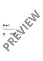 Robert Schumann: Eintritt Product Image