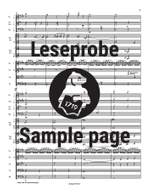 Hans Rott: Symphony in E major Product Image