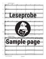 Hans Rott: Symphony in E major Product Image