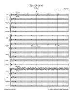 Hans Rott: Symphony in E major Product Image