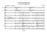 Dubra, Rihards: Te Deum simplex Product Image