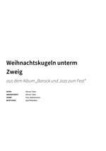 Steven Tailor: Weihnachtskugeln unterm Zweig Product Image