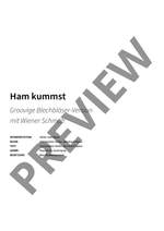 Christopher Seiler, Bernhard Speer: Ham kummst Product Image