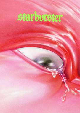 Fontaines D.C.: Starburster