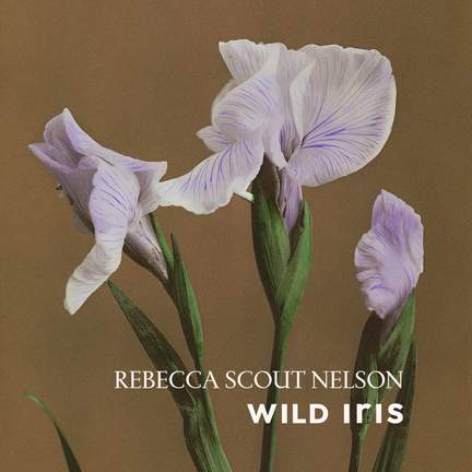 Wild Iris