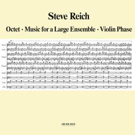 Reich: Octet - Music for a Large Ensemble - Violin Phase