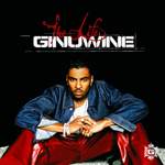 Ginuwine: Differences Product Image
