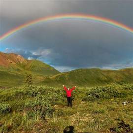 Carroll: I'm Always Chasing Rainbows