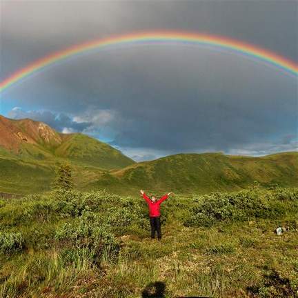 Carroll: I'm Always Chasing Rainbows
