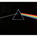 Pink Floyd: Brain Damage Product Image