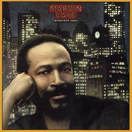 Marvin Gaye: Sexual Healing