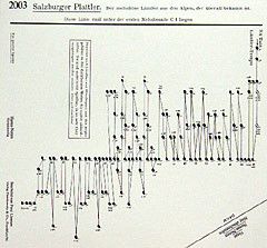 Salzburger Plattler