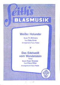 Weisser Holunder