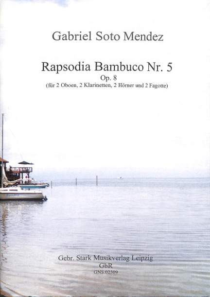 Rapsodia bambuco 5 op 8