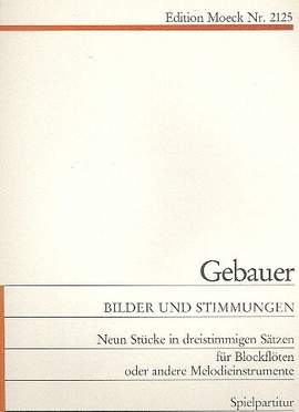 Gebauer, A: Bilder + Stimmungen