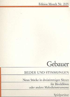 Gebauer, A: Bilder + Stimmungen