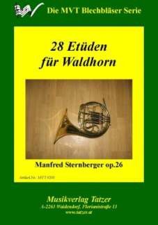 Sternberger, M: 28 Etüden op 26