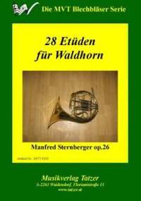 Sternberger, M: 28 Etüden op 26