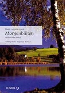 Zvácek, A: Morgenblüten