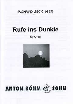Seckinger, K: Rufe ins Dunkle