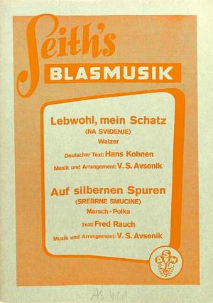 Avsenik, S: Auf silbernen Spuren