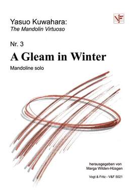 Kuwahara, Y: A gleam in winter