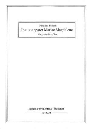 Schapfl, N: Jesus apparet Mariae Magdalene