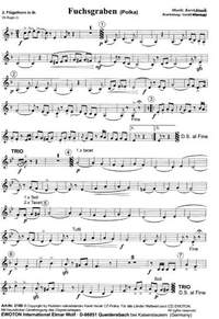 Vacek, K: Fuchsgraben Polka - FlHrn 2