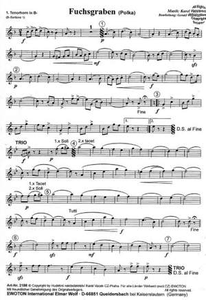 Vacek, K: Fuchsgraben Polka - TNHN 1