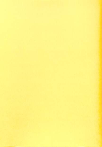 Graap, L: 9 Orgelstücke