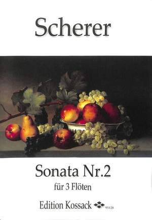 Scherer, J: Sonate 2 e-moll