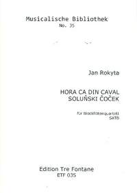 Rokyta, J: Solunski cocek 35