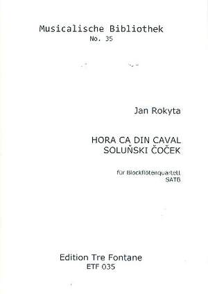 Rokyta, J: Solunski cocek 35