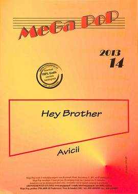 Avicii: Hey brother 14