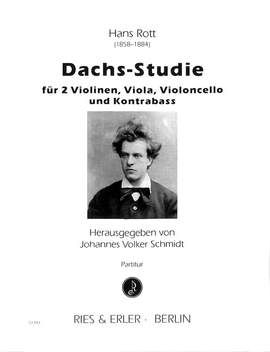 Rott, H: Dachs Studie