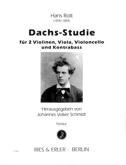 Rott, H: Dachs Studie