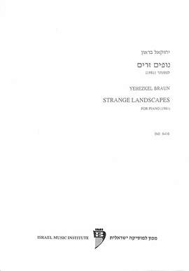 Braun, Y: Strange landscapes