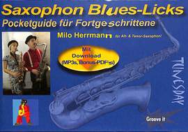 Herrmann, M: Saxophon Blues Licks
