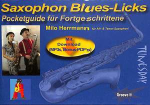 Herrmann, M: Saxophon Blues Licks