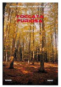Jaufenthaler, G: Toccata furiosa