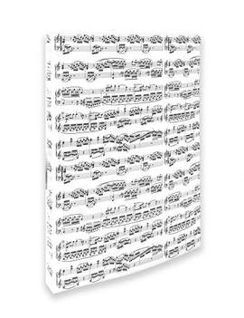 Ring binder notelines white A4/2 rings/20 mm