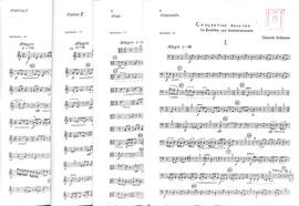 Erdmann, D: Concertino grazioso