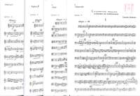 Erdmann, D: Concertino grazioso