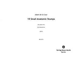 de la Cour, A: 15 Small Anatomic Stumps