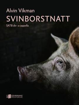 Vikman, A: Svinborstnatt