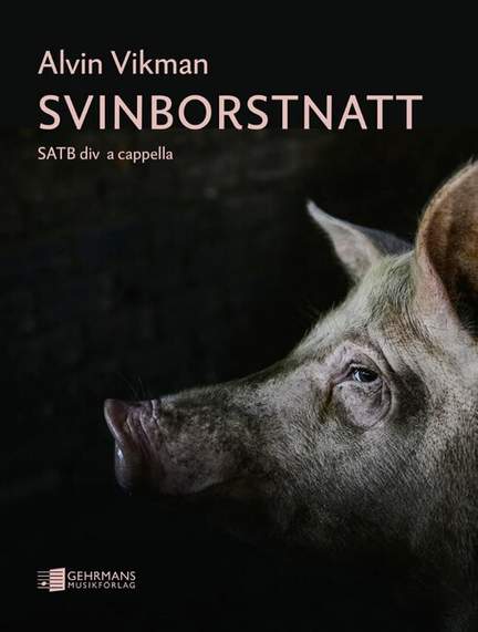 Vikman, A: Svinborstnatt