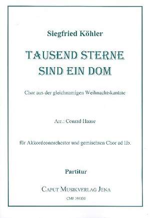 Koehler, S: Tausend Sterne sind ein Dom