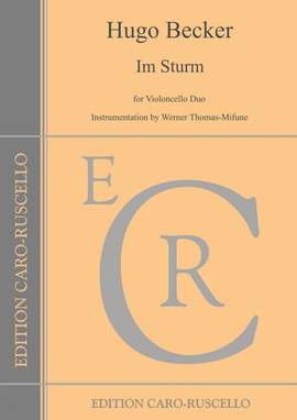 Becker, H: Im Sturm